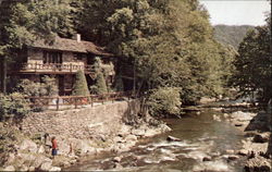 Laurel Springs Laurel Springs