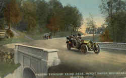 Passing Through Frink Park