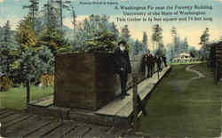 A Washington Fir Near The Forestry Building