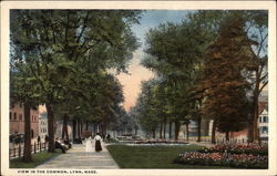 View in the Common View in the Common