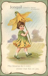 Jonquil Jonquil