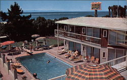 Ming Tree Motor Hotel Ming Tree Motor Hotel