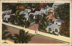 Birdseye View Cactus Terrace Birdseye View Cactus Terrace