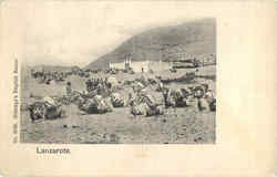 Nobrega's English Bazar