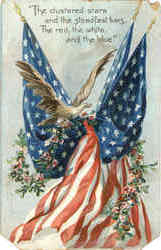Eagle & Flag