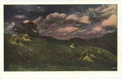 Nighttime Farm Scene