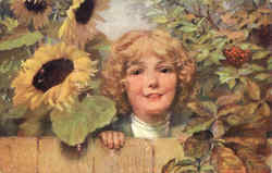 Previous Card