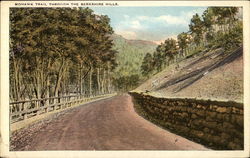 Mohawk Trail, through the Berkshire Hills Postcard