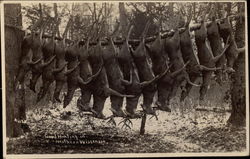Good Deer Hunting in Northern Wisconsin Good Deer Hunting in Northern Wisconsin
