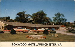 Boxwood Motel Boxwood Motel