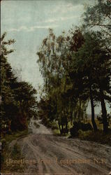 Country Road Country Road