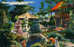The Oriental Tea Garden, Golden Gate Park