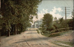 The Elms The Elms