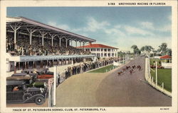 Track of St. Petersburg Kennel Club Track of St. Petersburg Kennel Club