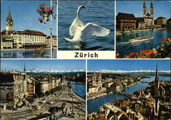 Various Views of City