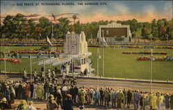 Dog Track, The Sunshine City Dog Track, The Sunshine City