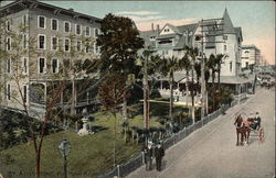 Hotel Magnolia Hotel Magnolia