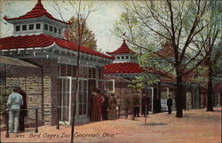 Bird Cages Zoo Bird Cages Zoo