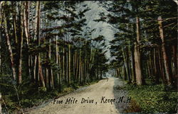 Five Mile Drive Five Mile Drive