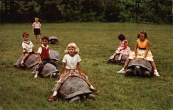 Children Riding Giant Tortoises at Catskill Game Farm Children Riding Giant Tortoises at Catskill Game Farm