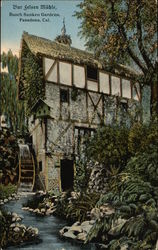 Busch Sunken Gardens Busch Sunken Gardens