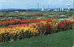Flower Gardens Penn State Flower Gardens Penn State