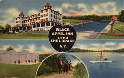 Black Appel Inn Loch Sheldrake, NY Postcard Postcard