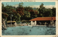 Brookside Park Plunge Brookside Park Plunge