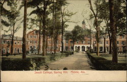 Jesuit College, Spring Hill Jesuit College, Spring Hill