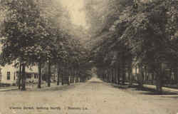 Vienna Street Looking North