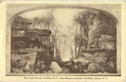 The Fossil Forests Of Gilboa