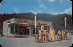 Shell Station Shell Station