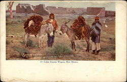 Indian Express Wagons, New Mexico Indian Express Wagons, New Mexico