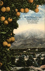 Mt. San Bernardino and Orange Groves on Salt Lake Route in California Mt. San Bernardino and Orange Groves on Salt Lake Route in California