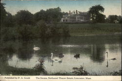 The Swans, Nathaniel Thayer Estate Lancaster, MA Postcard Postcard