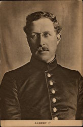 Portrait of S.M. Albert I Portrait of S.M. Albert I