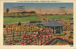 E. M. Mills Municipal Rose Garden, Thousand Park