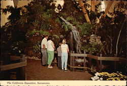 The California Exposition The California Exposition
