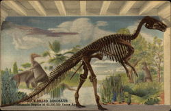 Duck-Billed Dinosaur - Colorado Reptile of 60,000,000 Years Ago Duck-Billed Dinosaur - Colorado Reptile of 60,000,000 Years Ago