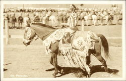 "On Parade" - Native American Woman on Horseback "On Parade" - Native American Woman on Horseback