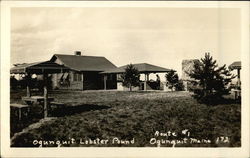 Vintage Photograph of Lobster Pound Vintage Photograph of Lobster Pound