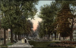 View in the Common View in the Common