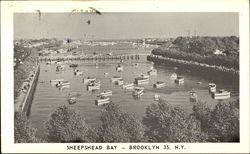 Sheepshead Bay Sheepshead Bay