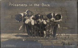 Prisoners in the Dock Prisoners in the Dock