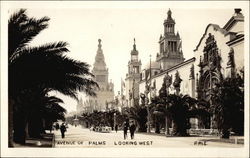 Avenue of Palms, Looking West Avenue of Palms, Looking West