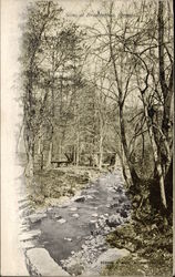 River and Trees at Brandywine Springs River and Trees at Brandywine Springs