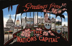 Greetings from Washington Greetings from Washington