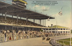 St.Petersburg Kennel Club - Derby Lane, Greyhound Racing St.Petersburg Kennel Club - Derby Lane, Greyhound Racing
