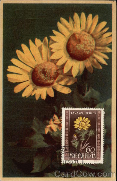 Two Large Yellow Flowers with Coordinating Postage Stamp