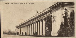 Palace of Agriculture, P.P.I.E., 1915 Palace of Agriculture, P.P.I.E., 1915